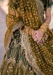 MOHSIN NAVEED RANJHA - AFSANA - ZWN - 45 ‘’25