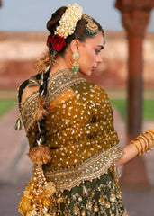 MOHSIN NAVEED RANJHA - AFSANA - ZWN - 45 ‘’25