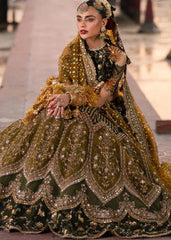 MOHSIN NAVEED RANJHA - AFSANA - ZWN - 45 ‘’25