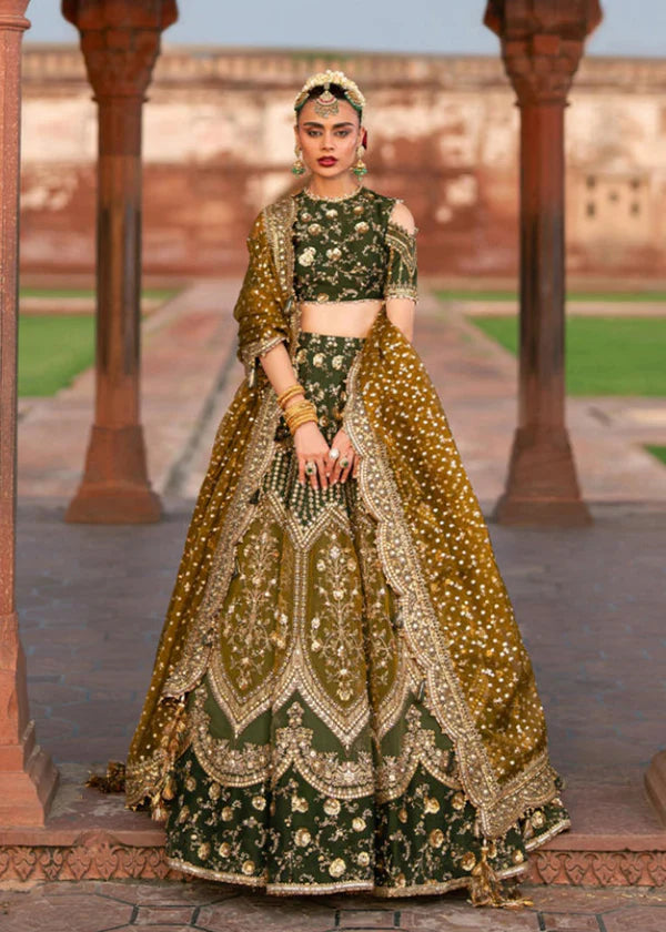 MOHSIN NAVEED RANJHA - AFSANA - ZWN - 45 ‘’25