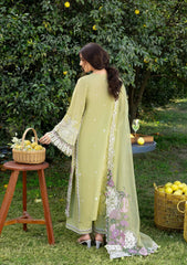 ELAF - LUXURY LAWN - 08 '26