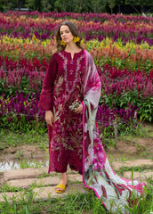 REPLICA - MUSHQ - HEMLINE 612 '26