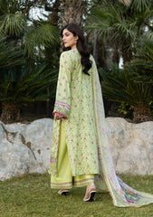 ELAF - CHIKANKARI LAWN - 2A '26