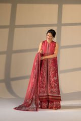 SOBIA NAZIR - VITAL - 12A '26