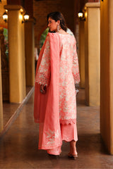 RANG RASIYA - FLORENCE - SAFINA '26