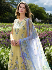 MUSHQ - HEMLINE LAWN - SUNLIT MEADOW '26