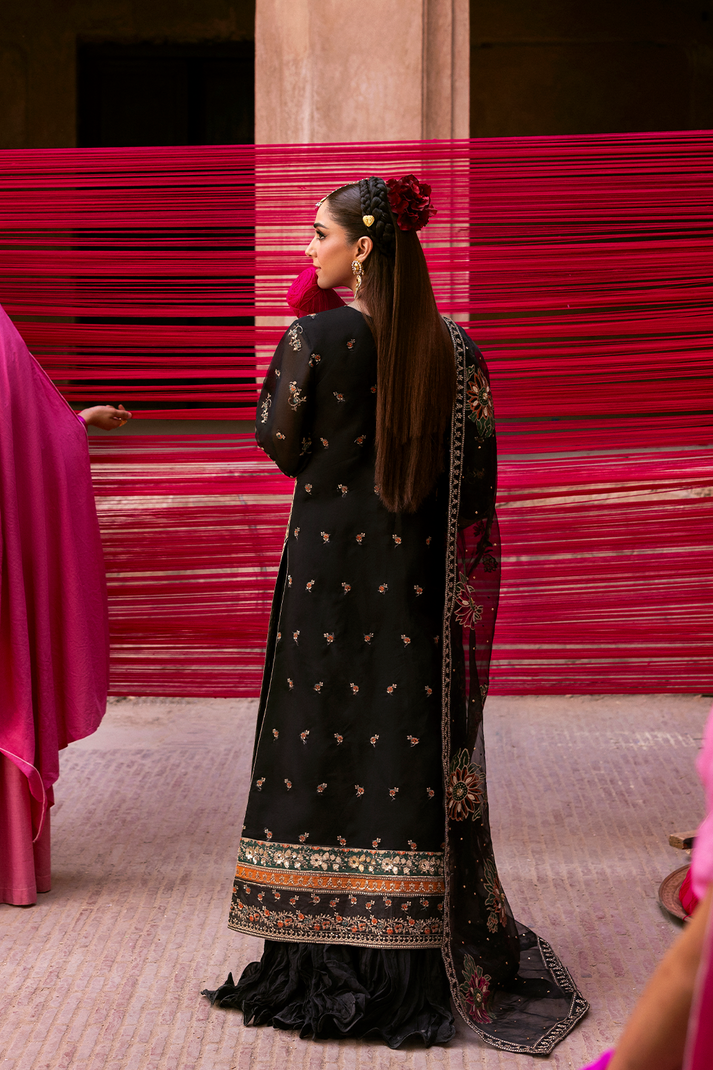 EMAAN ADEEL -NOCTELLE- 2025