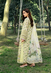 ELAF - CHIKANKARI LAWN - 6A '26