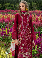REPLICA - MUSHQ - HEMLINE 612 '26