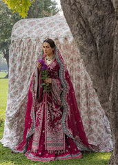 HUSSAIN REHAR - THE DOLL HOUSE - SHER BANO '26