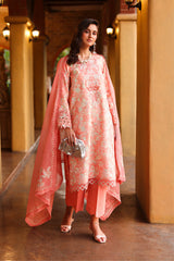 RANG RASIYA - FLORENCE - SAFINA '26