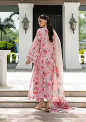 ELAF - SIGNATURE - EID LAWN - ESG-4B '26