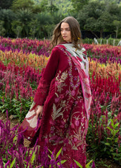 REPLICA - MUSHQ - HEMLINE 612 '26