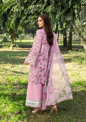 ELAF - CHIKANKARI LAWN - 3A '26