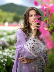 MUSHQ - HEMLINE LAWN - DEWDROP DANCE '26