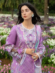 MUSHQ - HEMLINE LAWN - SECRET THICKET '26