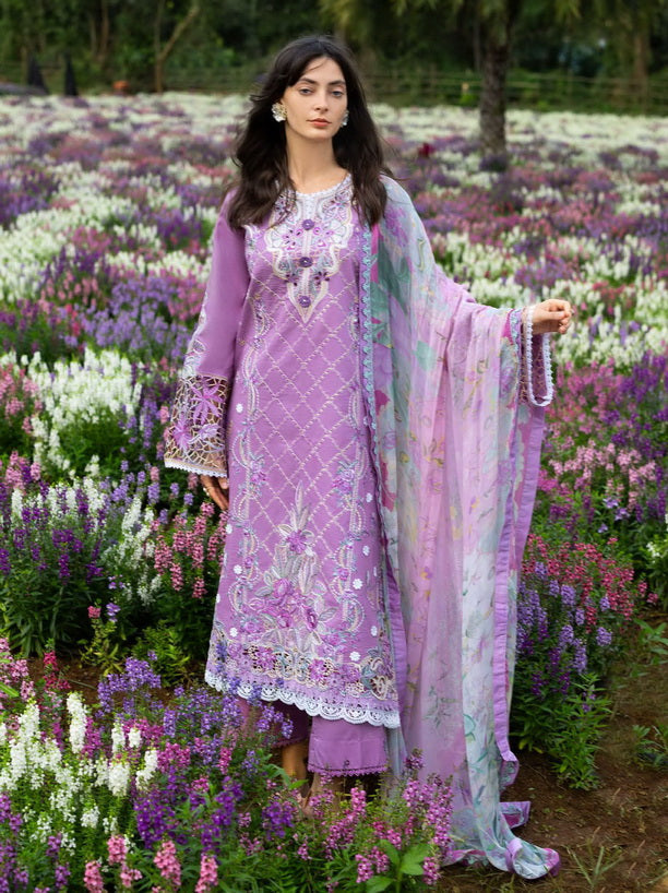 MUSHQ - HEMLINE LAWN - SECRET THICKET '26