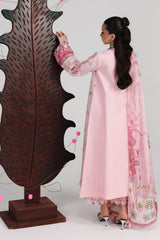 QALAMKAR - FESTIVE - LAWN - QFL- 04 - NORAH '26