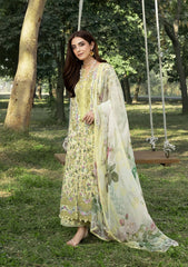 ELAF - CHIKANKARI LAWN - 6A '26