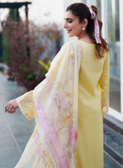 NEESHAY - SYMPHONY - LAWN - ELIO '26
